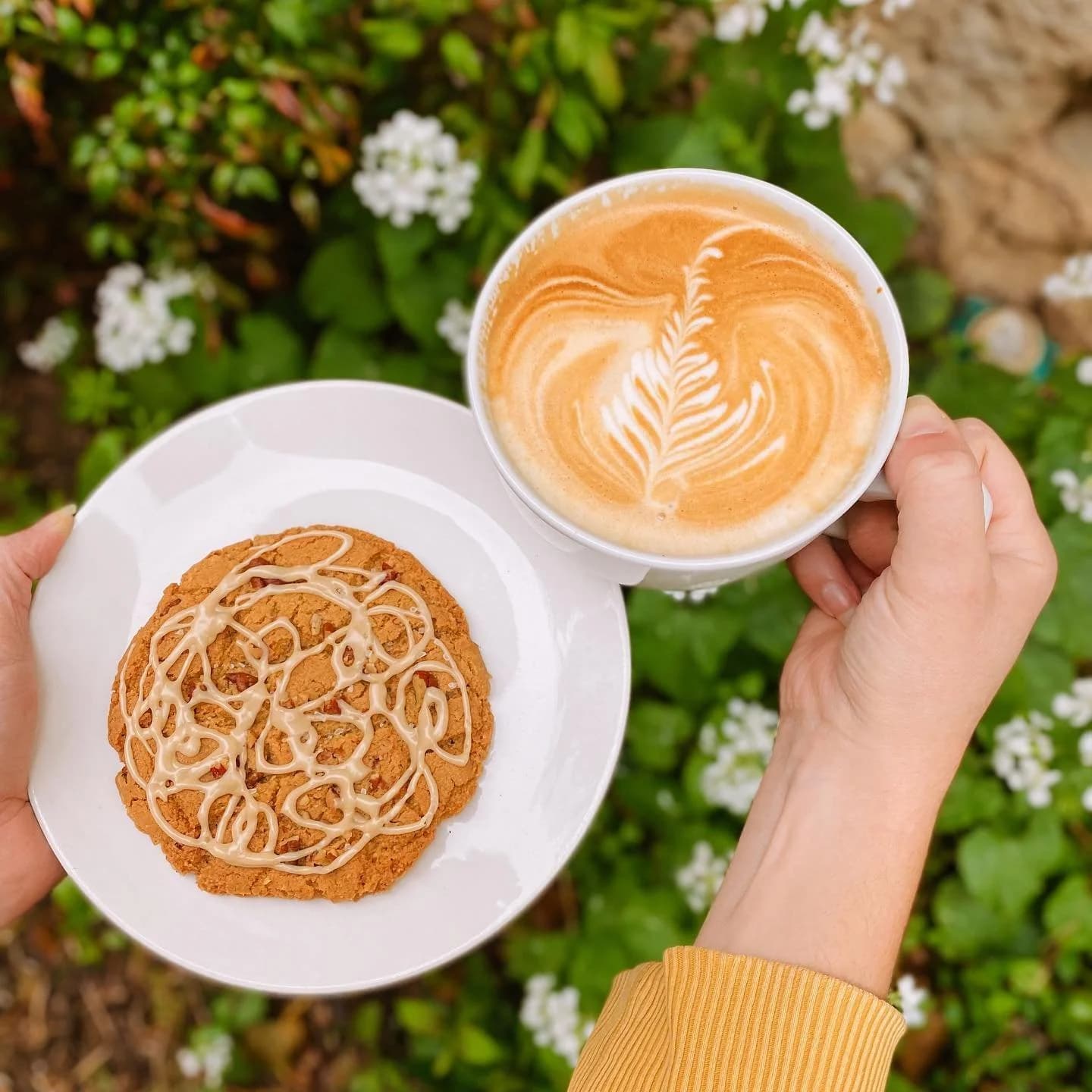 Agora Downtown Coffee Shop & Roastery
