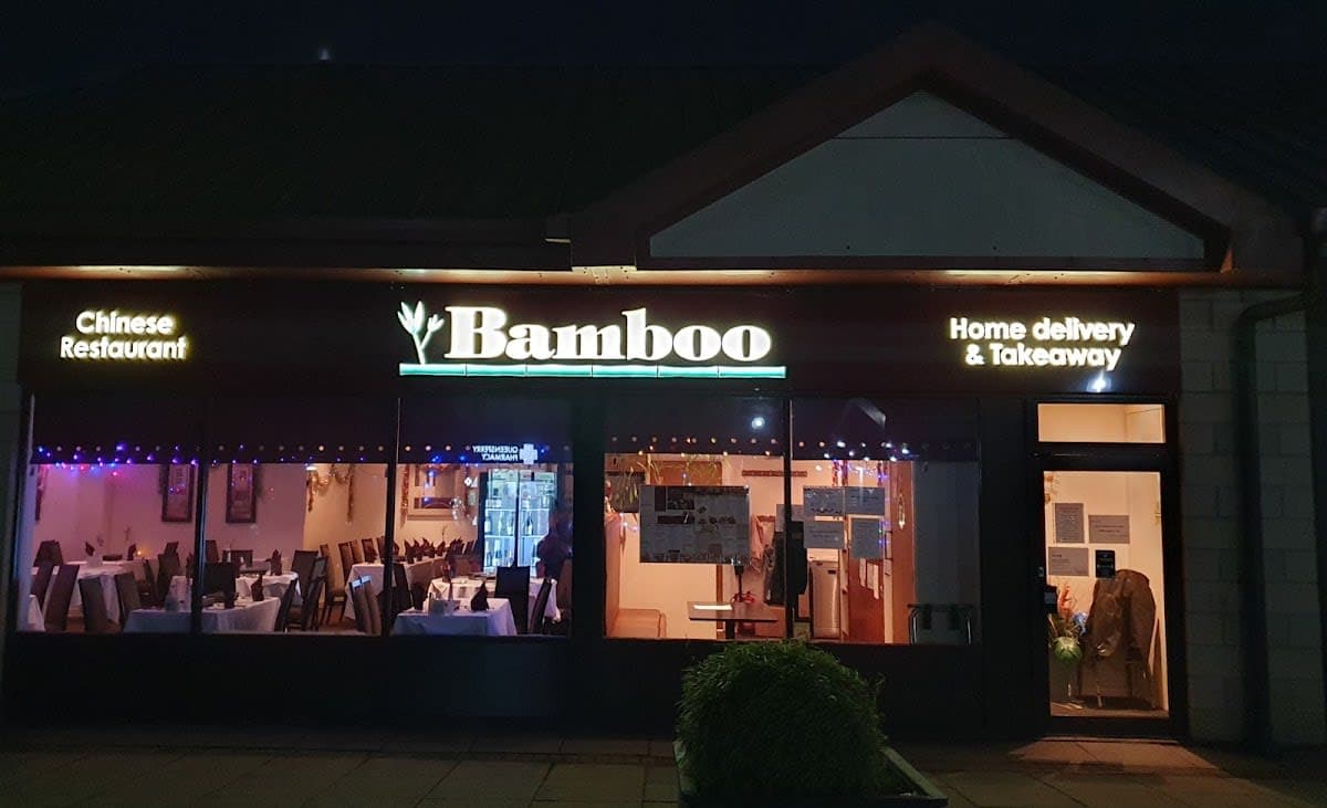 Bamboo