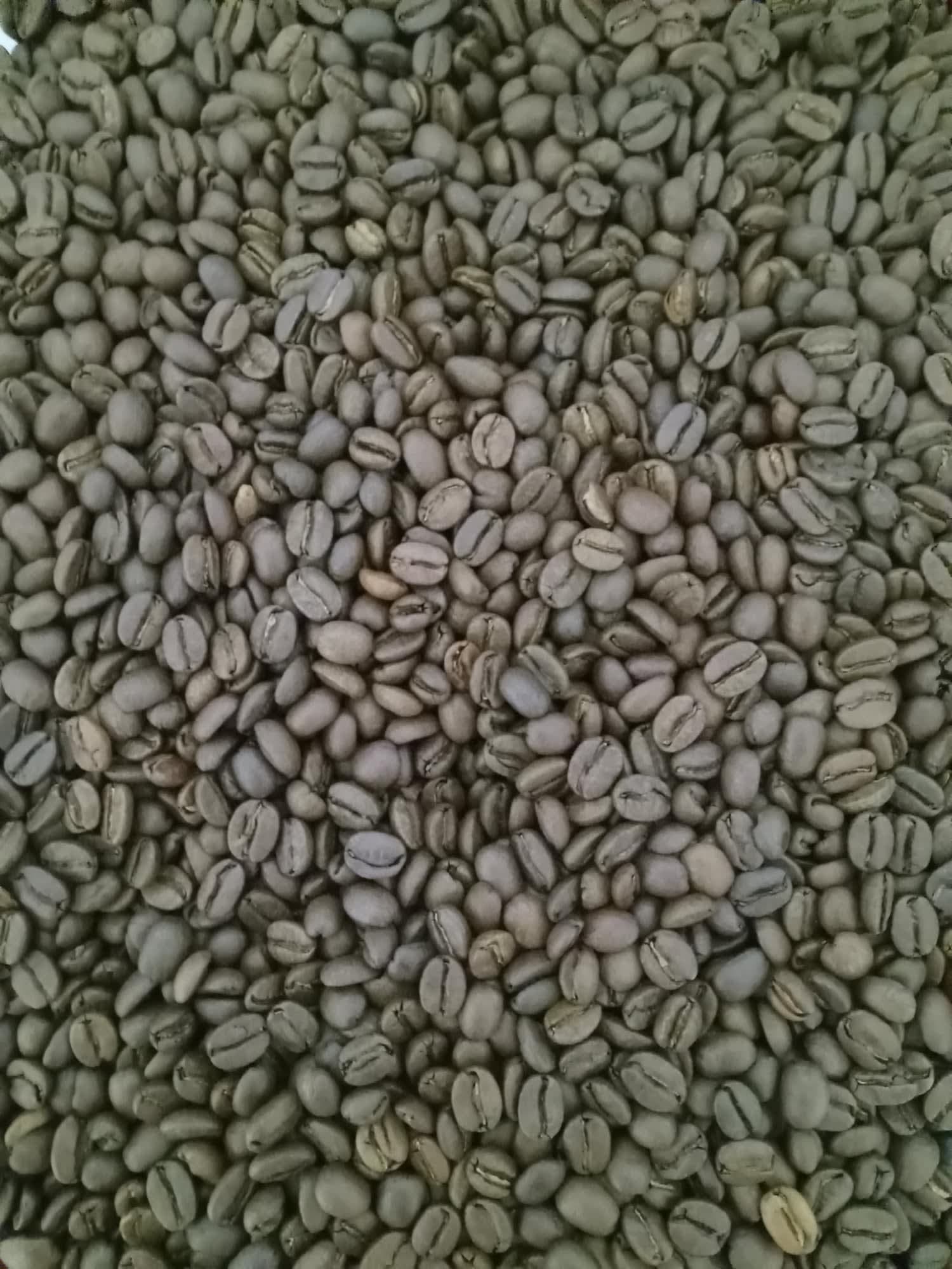 Fredericksburg Coffee Co