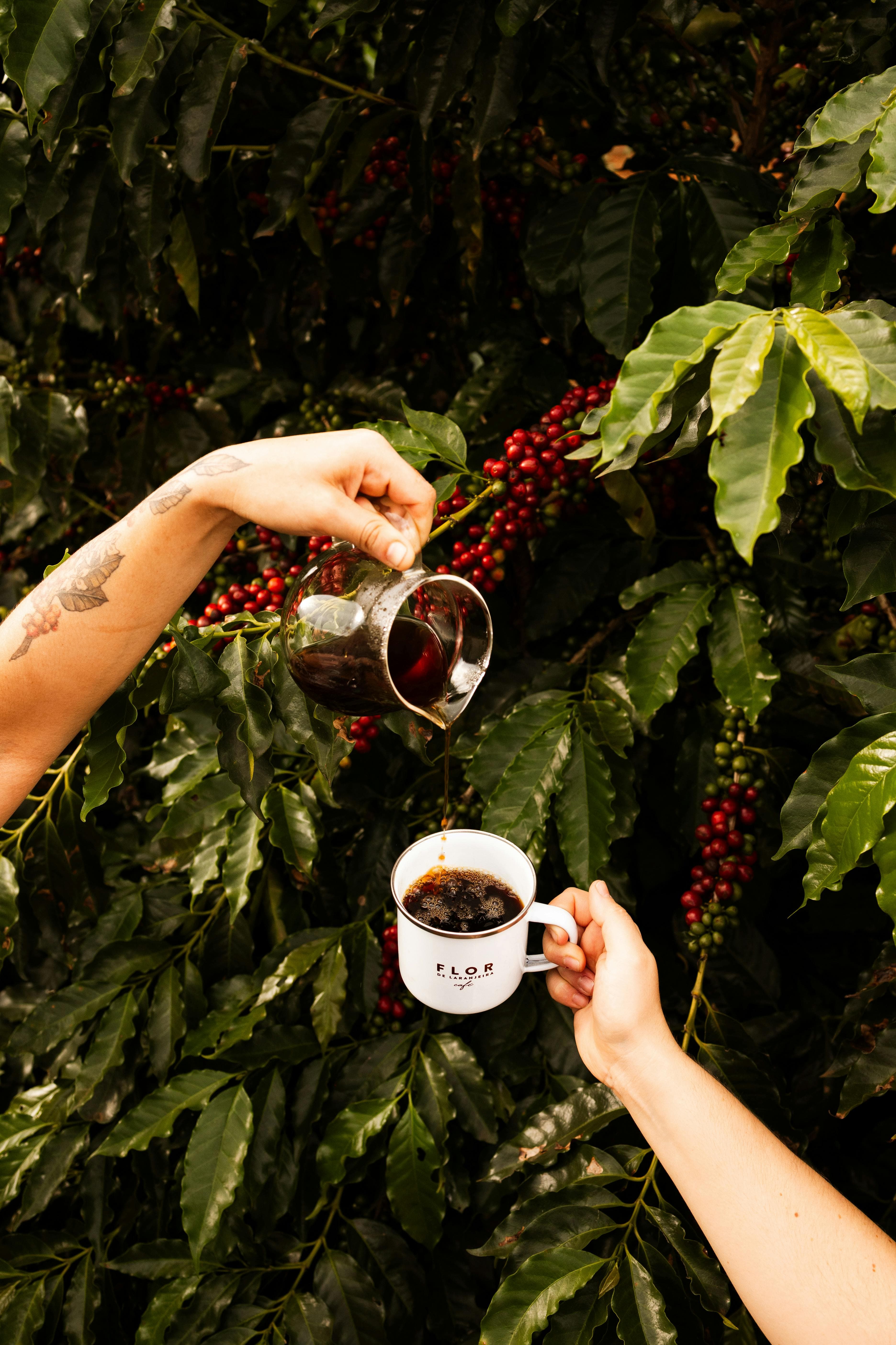 Pokhara Coffee Roastery