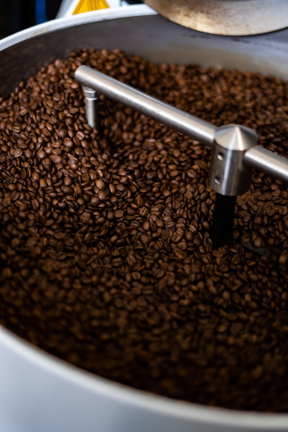 William & Sons Coffee - Roastery