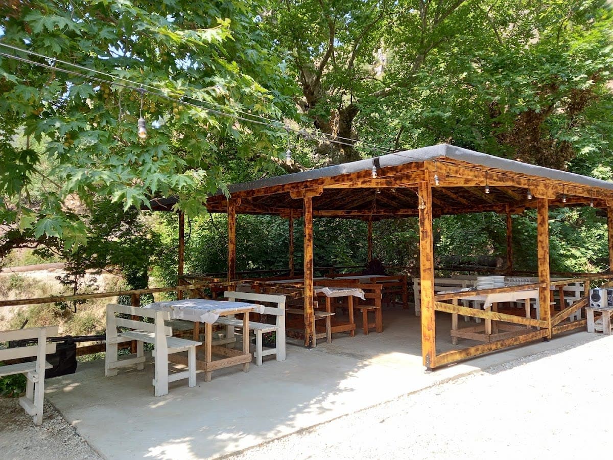 Taverna Edi Tatzat
